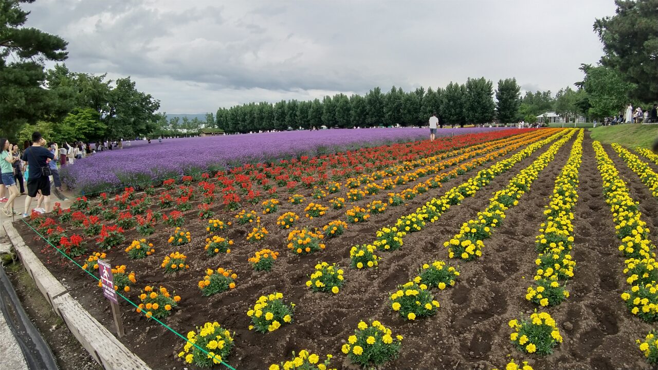 北海道旅行